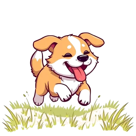 About Shibadorable.Com